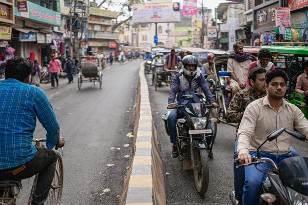 Quels sont les bénéfices des corridors écologiques pour les espèces migratrices ?