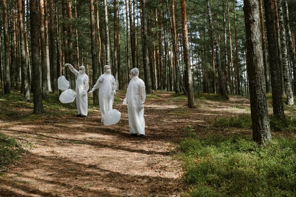 Quels sont les avantages de la sylviculture durable pour les forêts tropicales ?
