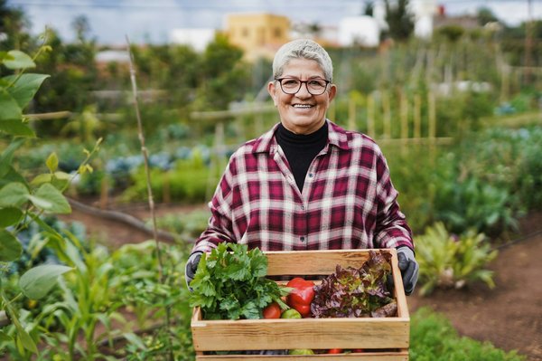 10 clés pour exceller dans la culture de votre potager